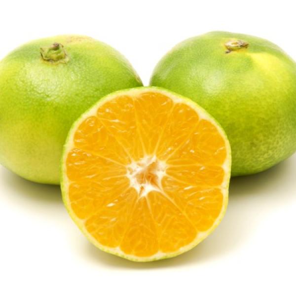 Il Citrus x unshiu